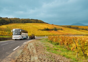 In bus dal lago d’Iseo alle cantine della Franciacorta