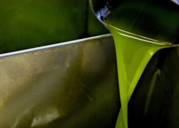 Olio: fuorilegge un ristorante su quattro