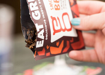 Grilli nei supermercati, venduti come snack in bustina. Sarà il cibo del futuro