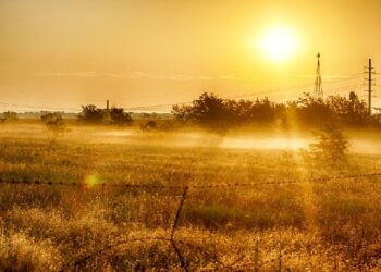 Gli italiani saranno “incattiviti”, come dice il Rapporto Censis, ma forse con qualche ragione