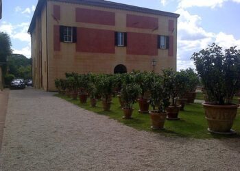 A Perugia master di scrittura seriale