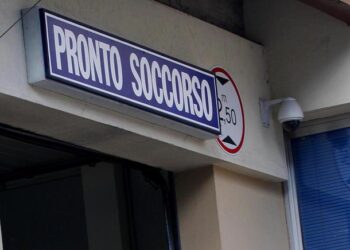 Aggredito da due lupi in Maremma, ferito