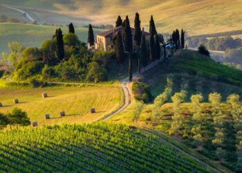 Confagricoltura:Toscana regina delle vacanze in agriturismo