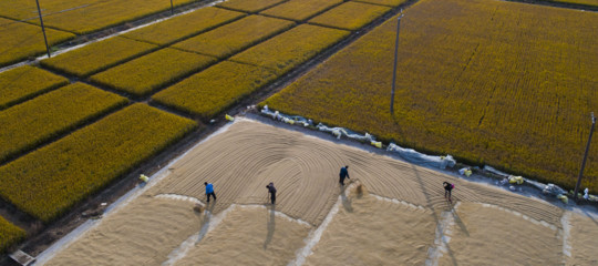 Agrifood e Fabbrica intelligente, come ottenere i finanziamenti