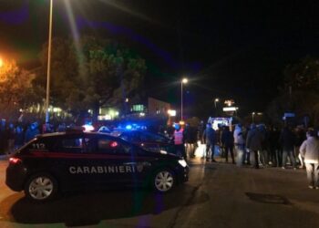 Anziano investito e ucciso, un arresto