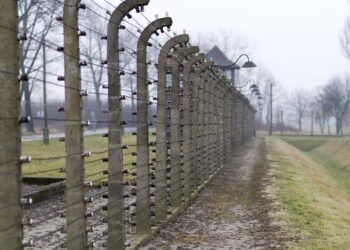 Assemblea celebra Giorno della Memoria