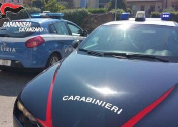 Blitz interforze a Lamezia, 5 arresti