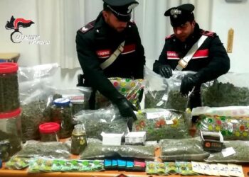 Canapa light ma era fuori norma,arresto