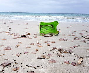 Centinaia di meduse spiaggiate in Sardegna