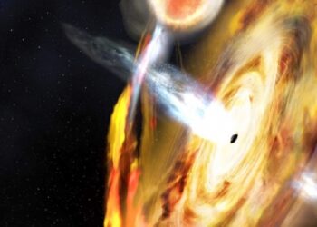 Dalla Stazione Spaziale una luce sui buchi neri