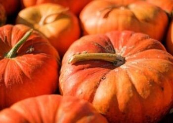Dallo scrub all’antirughe, tutti i segreti della zucca
 