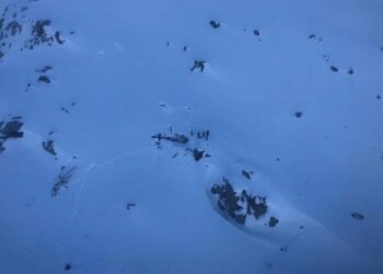 Elicottero contro aereo, autopsie