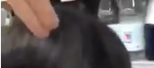 Il video virale della cinese insultata e minacciata in un supermercato milanese