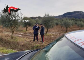 Intimidazione imprenditore,taglio alberi