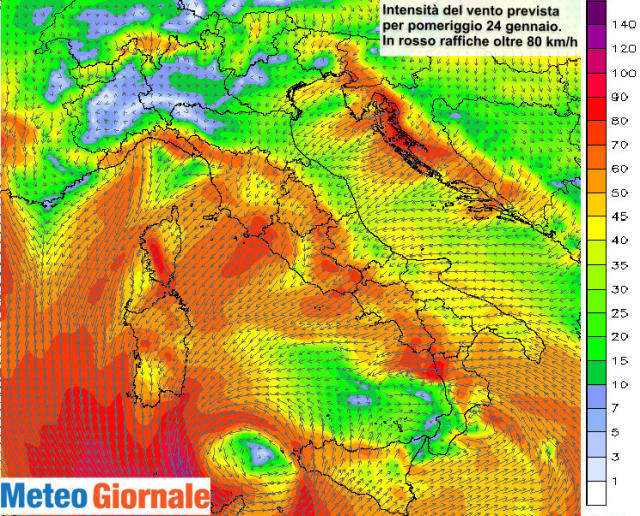 immagine 2 articolo 55708