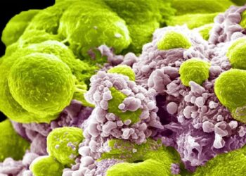 Neutralizzato il ‘mantello dell’invisibilità’ dei tumori