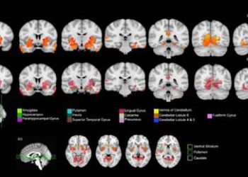 Pochi spinelli possono alterare il cervello negli adolescenti