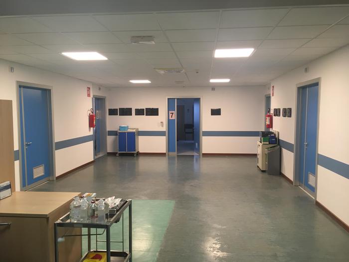 Polemica su’razza’,Usl,non nostri moduli