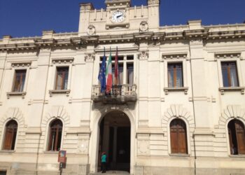 Saluto romano consigliere Fi Reggio C.