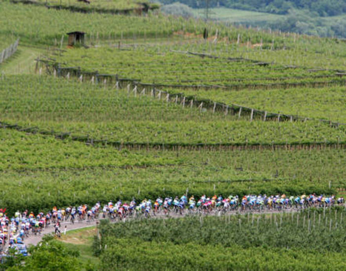 ‘Vini da terre estreme’, nuova edizione a Treviso