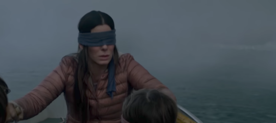 bird box challenge