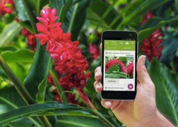 7 app per amanti della natura