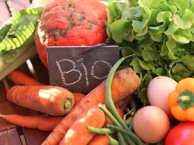 Cibo bio, cresce il mercato europeo: 37 mld nel 2017