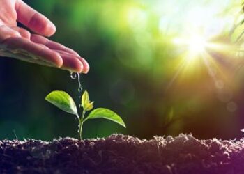 Agroalimentare, da Ismea pacchetto finanziamenti agevolati a imprese
 