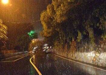 Albero su Aurelia a Sanremo, allagamenti