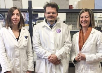 Alzheimer:Una piccola molecola per un nuovo farmaco dall’intestino degli squali