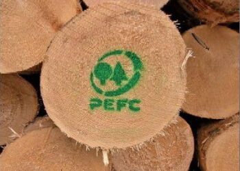 Ambiente: Pefc Italia, aumentano boschi e foreste certificati, +9,8% nel 2018
 