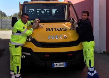 Cantonieri Anas salvano due cani