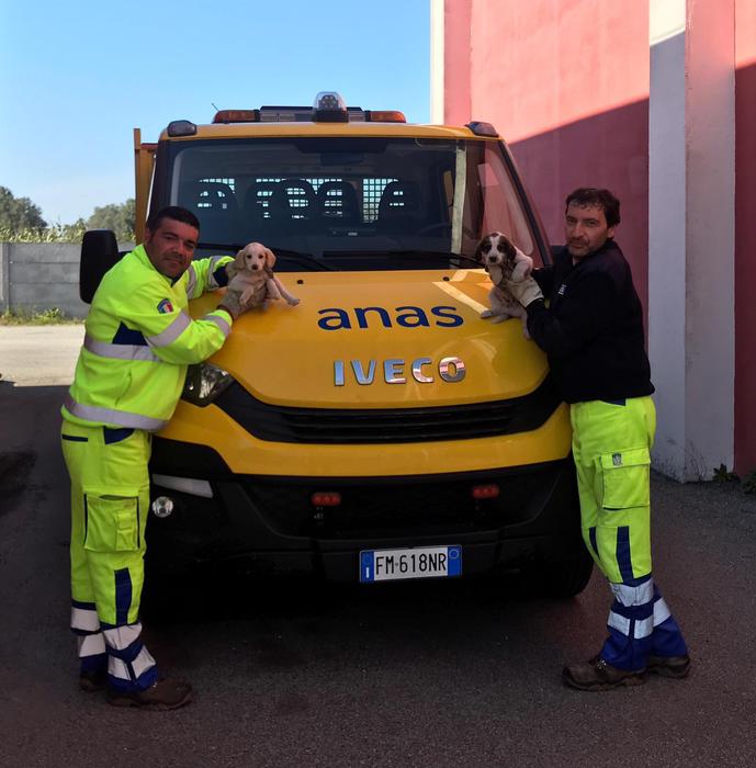 Cantonieri Anas salvano due cani