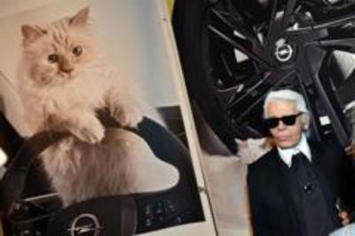 Choupette, la gatta ‘ereditiera’ di Karl Lagerfeld
 
