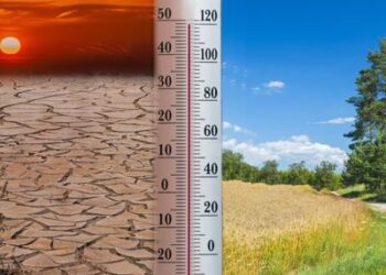 Clima: indagine Bei, per gli italiani servono investimenti internazionali
 