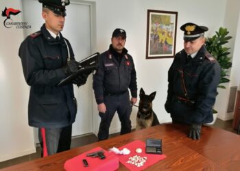 Cocaina e pistola in casa, arrestato