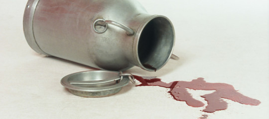 Come nasce il prezzo del latte. All’origine della protesta dei pastori sardi 