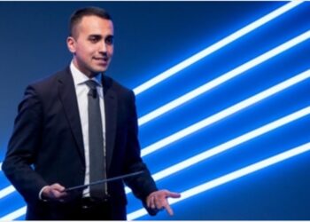 Copyright: Di Maio,ok se garanzia utenti