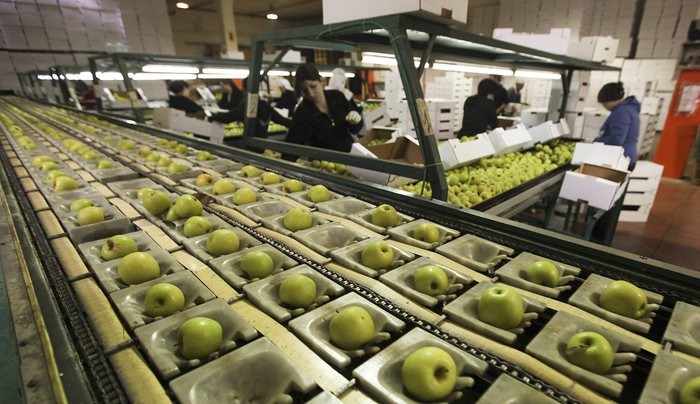 Giacenze mele a febbraio di 1,13 mln tonnellate