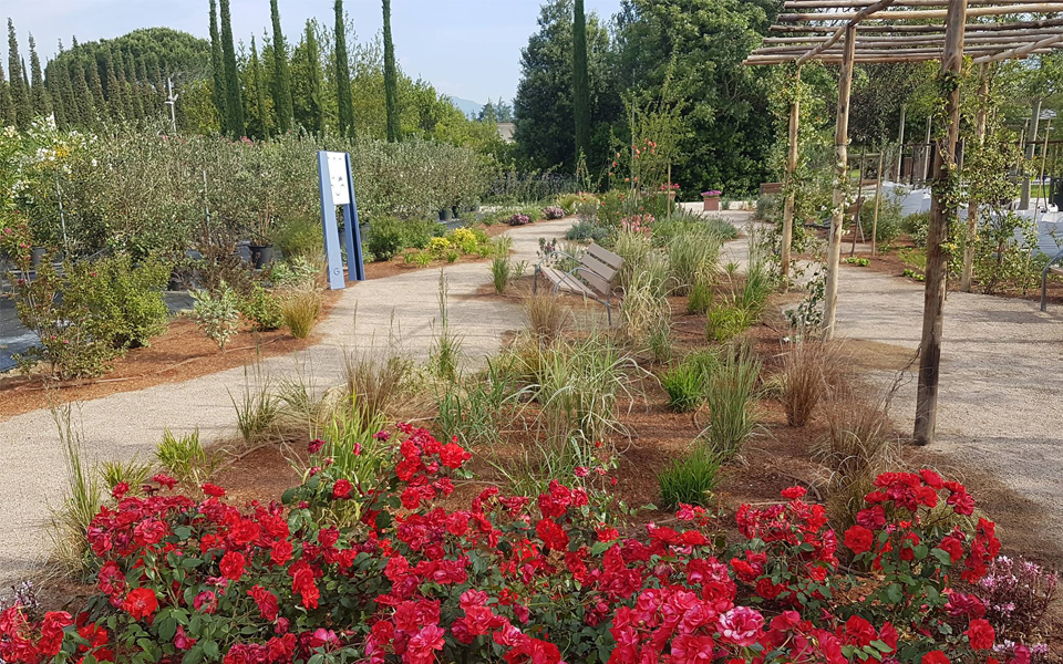 Si diffondono rapidamente i “Giardini Terapeutici”: quando il verde aiuta a guarire.