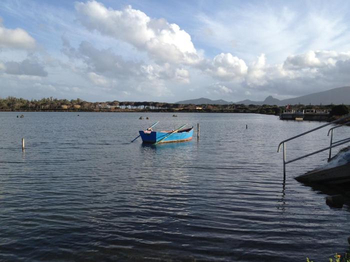 Giornata zone umide,13 eventi nell’isola