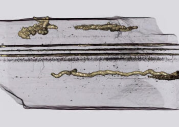 Hanno 2,1 miliardi di anni le più antiche impronte di un essere vivente