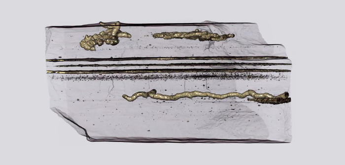 Hanno 2,1 miliardi di anni le più antiche impronte di un essere vivente