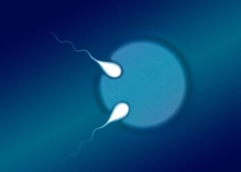 I primi gemelli ‘quasi identici’ scoperti in gravidanza