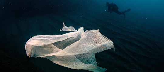 Il nemico invisibile che sta soffocando il Mediterraneo (e avvelenando anche noi)