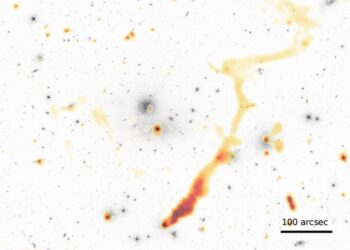 In una mappa 3.000 galassie finora sconosciute – VIDEO