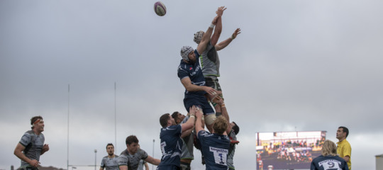 rugby allenatore treviso razzismo 