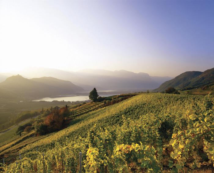 Kaltern è la prima cantina italiana certificata Fair’n green