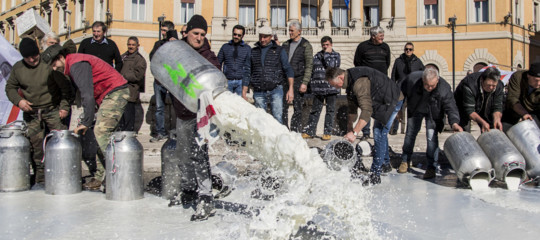 La partita del latte si gioca al tavolo del governo
