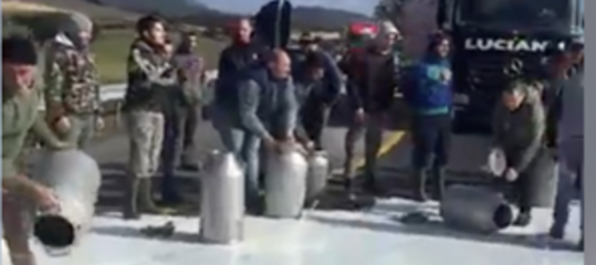 latte pastori sardegna